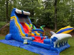 IMG 3221 1751560845 18' Tidal Wave Slide