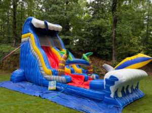 IMG_3221_1751560845_big