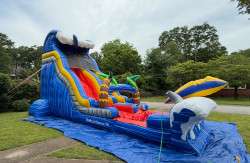 IMG 3222 1751560845 18' Tidal Wave Slide