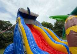 IMG 3223 1751560845 18' Tidal Wave Slide