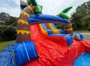 IMG_3224_1751560846_big