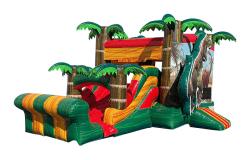 Dinosaur Bounce and Slide