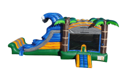 Pool Party Theme