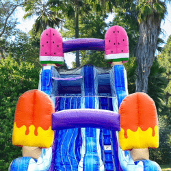 JC WS19SI WEB5 1755618089 19' Ice Cream Pop Water Slide