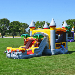 JCX CFD32TR 01 1755623237 Dinosaur Claw Bounce and Slide Dual Lane Combo
