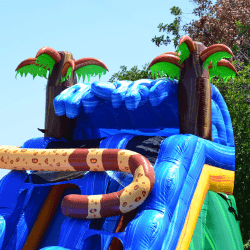 JCX WS15J WEB5 1755616807 15' Hidden Jaguar Water Slide